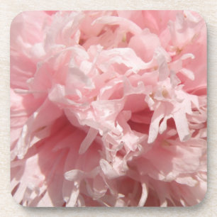 Pretty Pale Pink Poppy Cork Coaster
