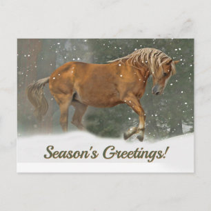 Pretty Palomino Draft Horse in the Snow Christmas Holiday Postcard