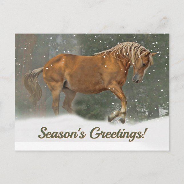 Pretty Palomino Draft Horse in the Snow Christmas Holiday Postcard (Front)