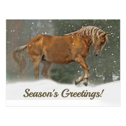 Pretty Palomino Draft Horse in the Snow Christmas Postcard