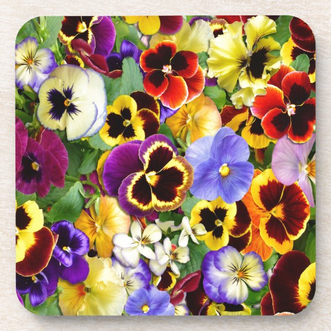 Pretty Pansies Coaster (Front)