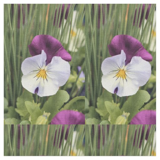 Pretty Pansies  fabric