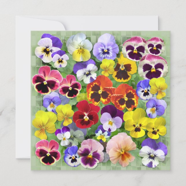Pretty Pansy Collage Custom Text  (Front)