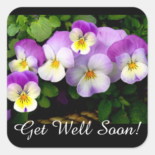 Pretty Pansy Get well Square Sticker