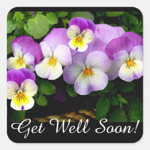 Pretty Pansy Get well Square Sticker