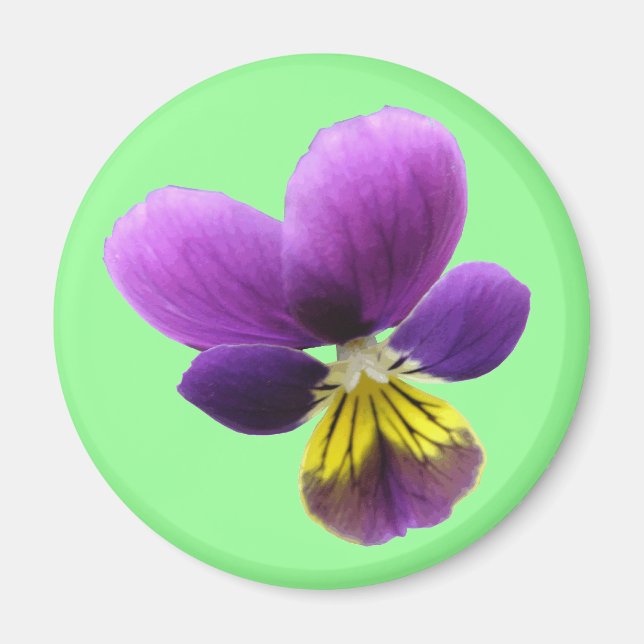 Pretty Pansy Magnet (Front)