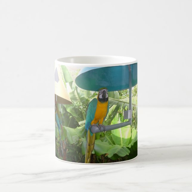 Pretty Parrot Coffee Mug (Center)