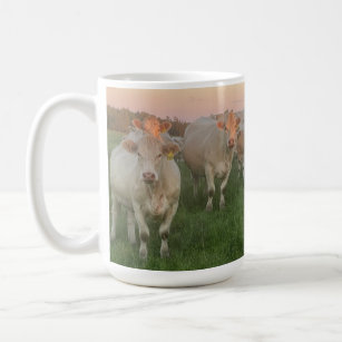 Pretty Pastel Charolais Cattle in Pasture Coffee Mug