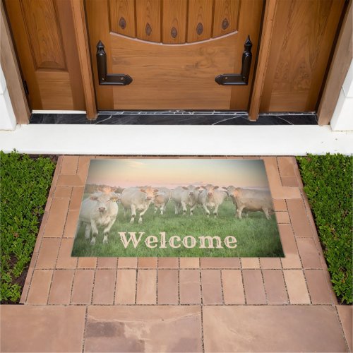 Pretty Pastel Charolais Cattle in Pasture Doormat