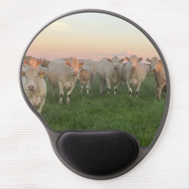 Pretty Pastel Charolais Cattle in Pasture Gel Mouse Pad (Front)