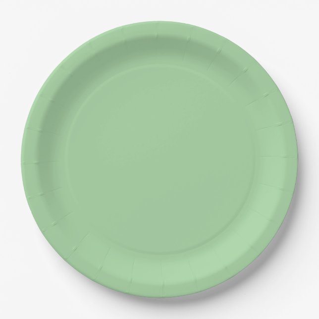 Pretty pastel green paper plates (Front)