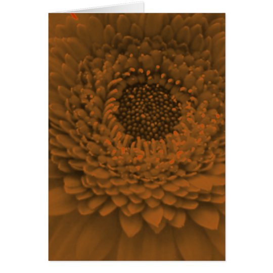 Pretty Peach Flower Card