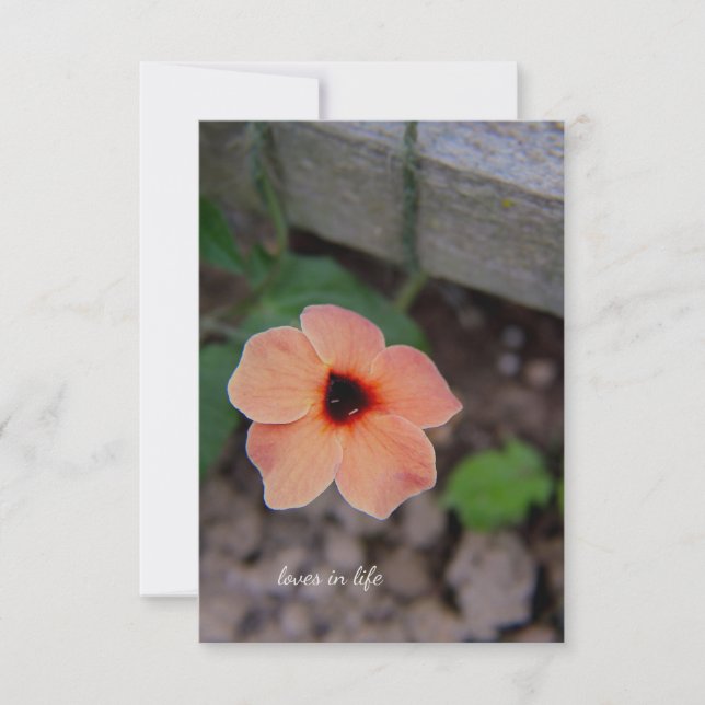Pretty Peach Garden Flower Note Card (Front)