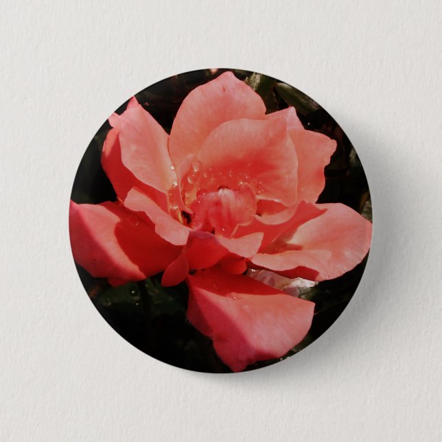 Pretty Peach Pink Rose floral Button (Front)