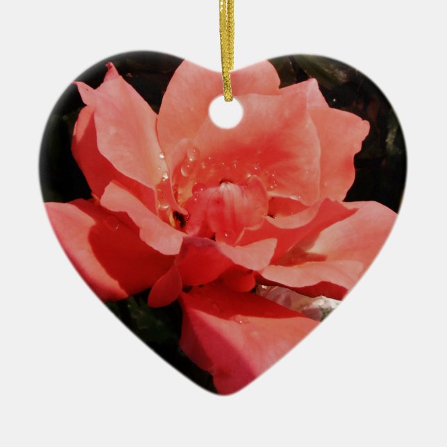 Pretty Peach Pink Rose floral Ceramic Ornament (Front)