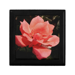 Pretty Peach Pink Rose floral Gift Box