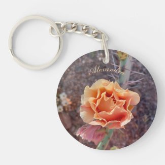 Pretty Peach Prickly Pear Flower