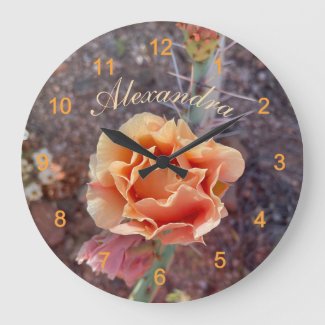 Pretty Peach Prickly Pear Flower