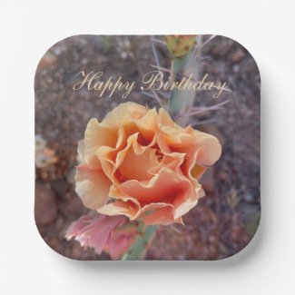 Pretty Peach Prickly Pear Flower