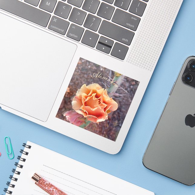 Pretty Peach Prickly Pear Flower Sticker (Laptop w/ iPhone)