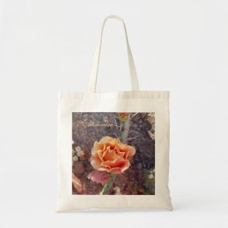 Pretty Peach Prickly Pear Flower