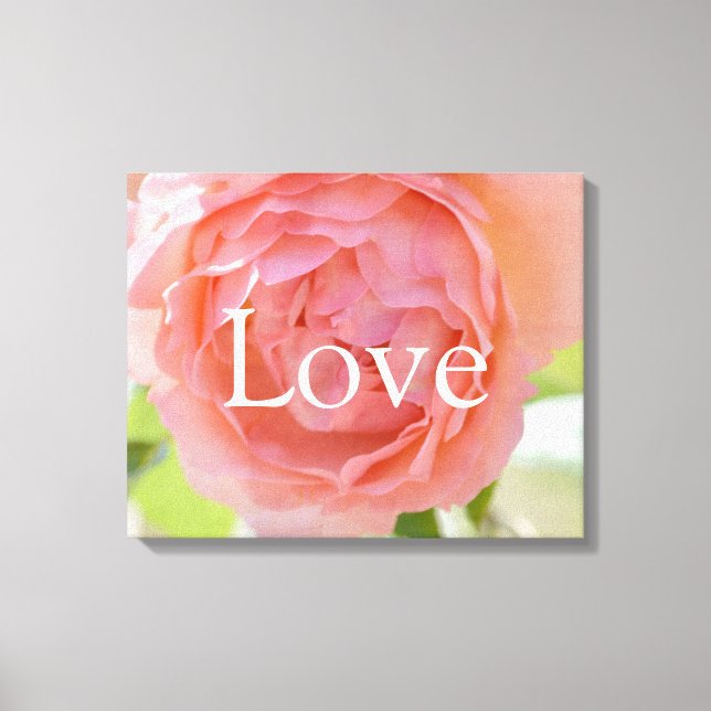 Pretty Peach Rose Love Canvas Print (Front)
