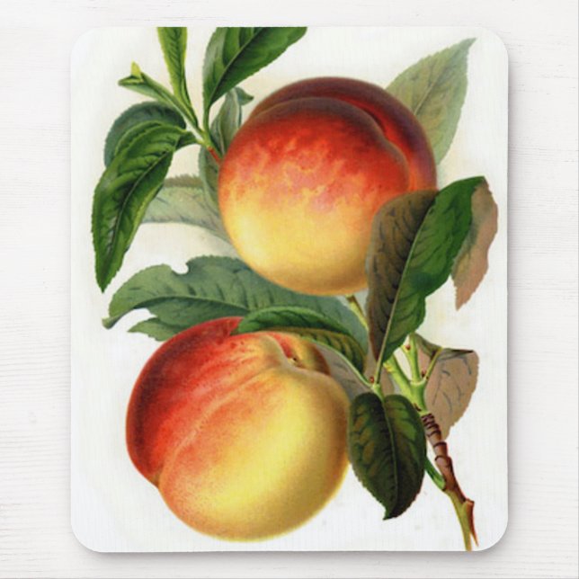 Pretty Peaches Mouse Pad (Front)