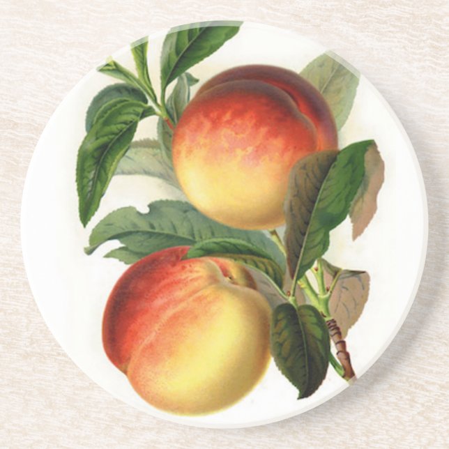 Pretty Peaches Sandstone Coaster (Front)