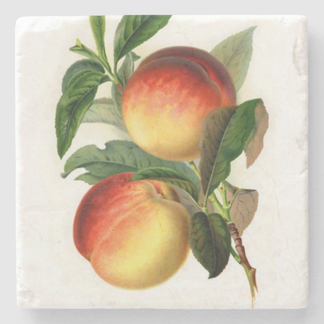 Pretty Peaches Square Stone Coaster (Front)