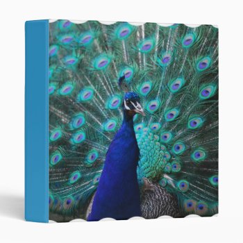Pretty Peacock Binder by WildlifeAnimals at Zazzle