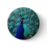 Pretty Peacock Button