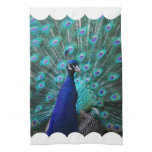 Pretty Peacock Kitchen Towel