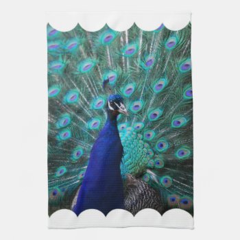 Pretty Peacock Kitchen Towel by WildlifeAnimals at Zazzle