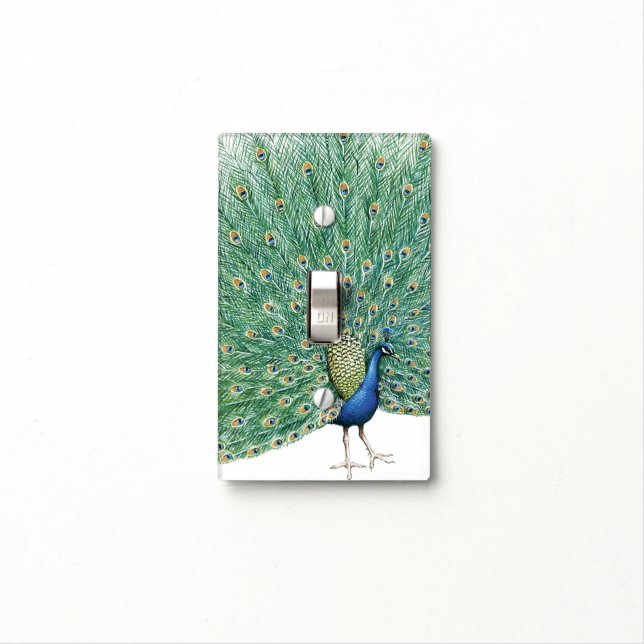 Pretty Peacock Light Switch Cover (In Situ)