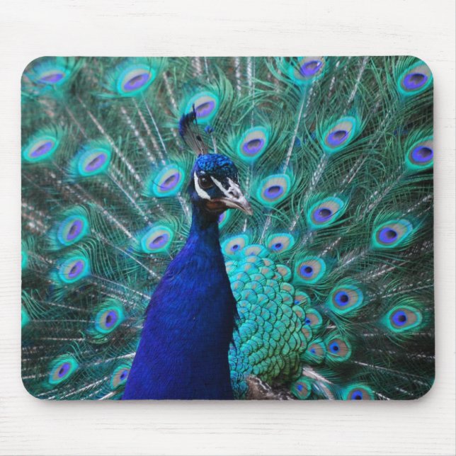 Pretty Peacock Mouse Pad (Front)