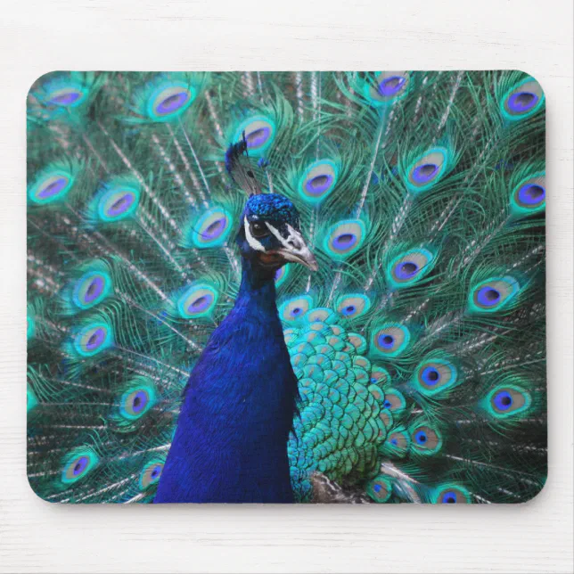 Pretty Peacock Mouse Pad | Zazzle