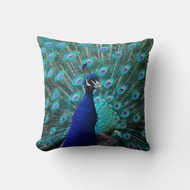 Pretty Peacock Pillow (Front)