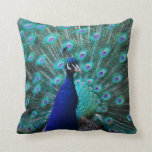 Pretty Peacock Pillow
