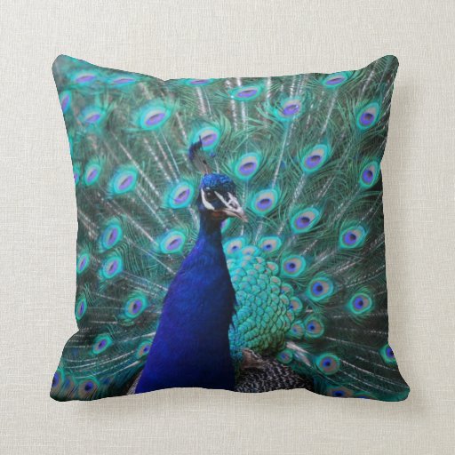 Pretty Peacock Pillow | Zazzle