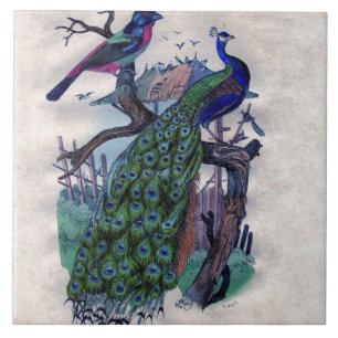 Pretty Peacock with Bird Ceramic Tile