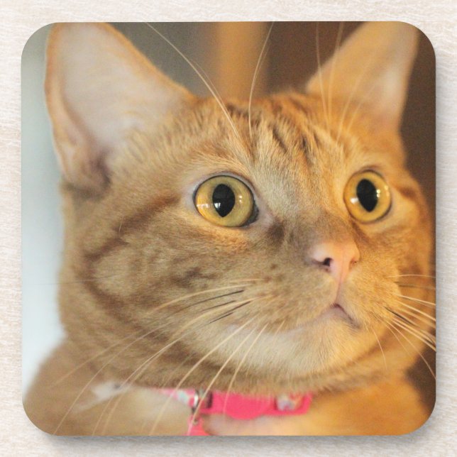 Pretty Penny Beverage Coaster (Front)