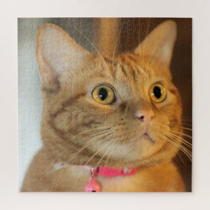 Pretty Penny Jigsaw Puzzle