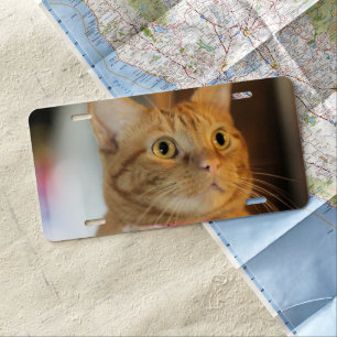 Pretty Penny License Plate