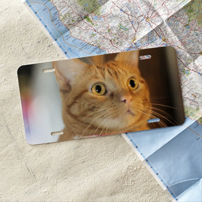 Pretty Penny License Plate (In Situ)