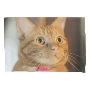 Pretty Penny Pillow Case