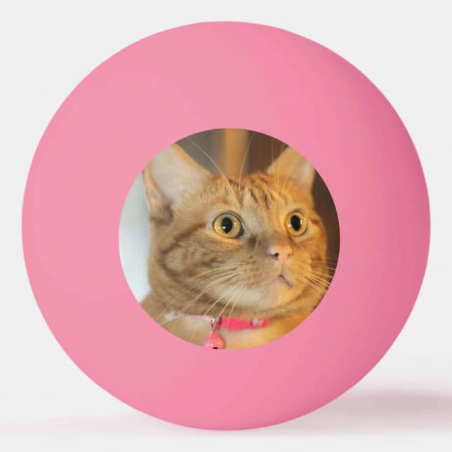 Pretty Penny Ping Pong Ball (Front)