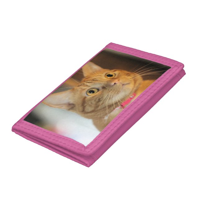 Pretty Penny Trifold Wallet (Bottom)