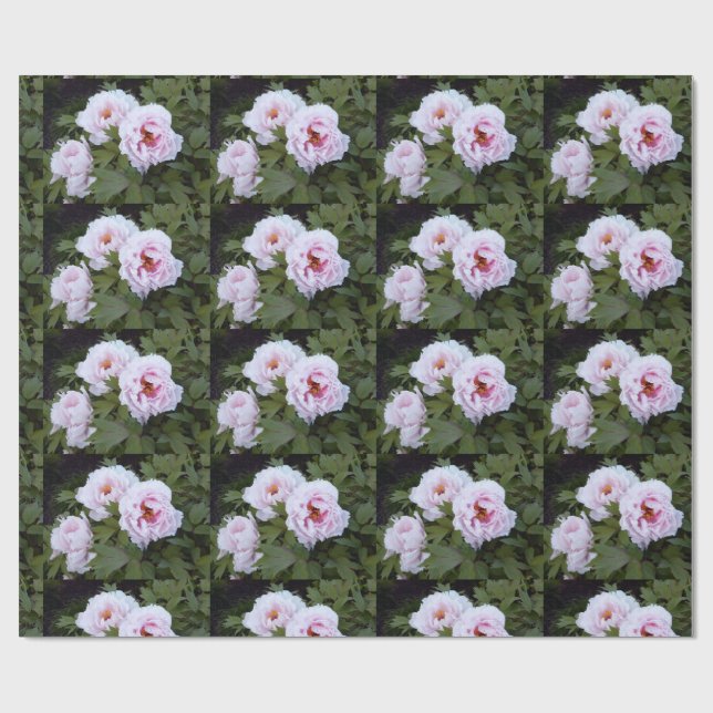 Pretty Peonies Wrapping Paper (Flat)