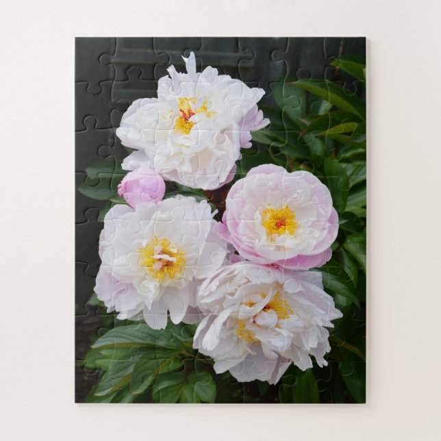 Pretty peony flowers jigsaw puzzle (Vertical)