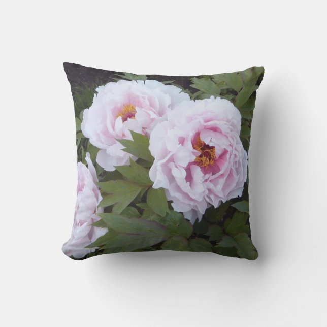 Pretty Peony Outdoor Fabric Pillow (Front)